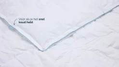 B Bright 4 seizoenen dekbed 60% dons
