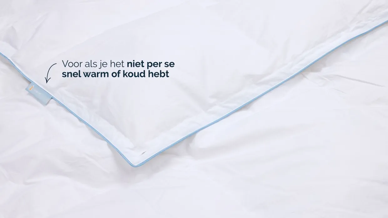 B Bright voor-najaar dekbed 30% dons