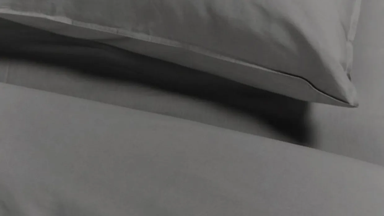 Dekbedovertrek Cotton Uni Grey